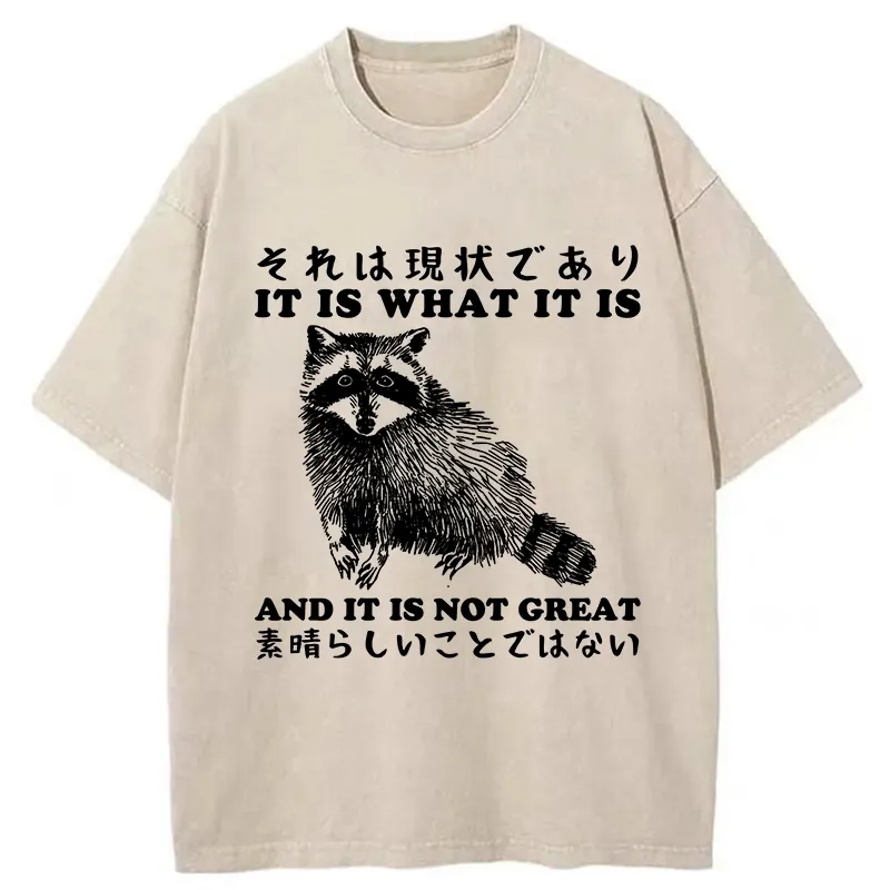 Tokyo-Tiger That Is The Current Situation Washed T-Shirt Sale