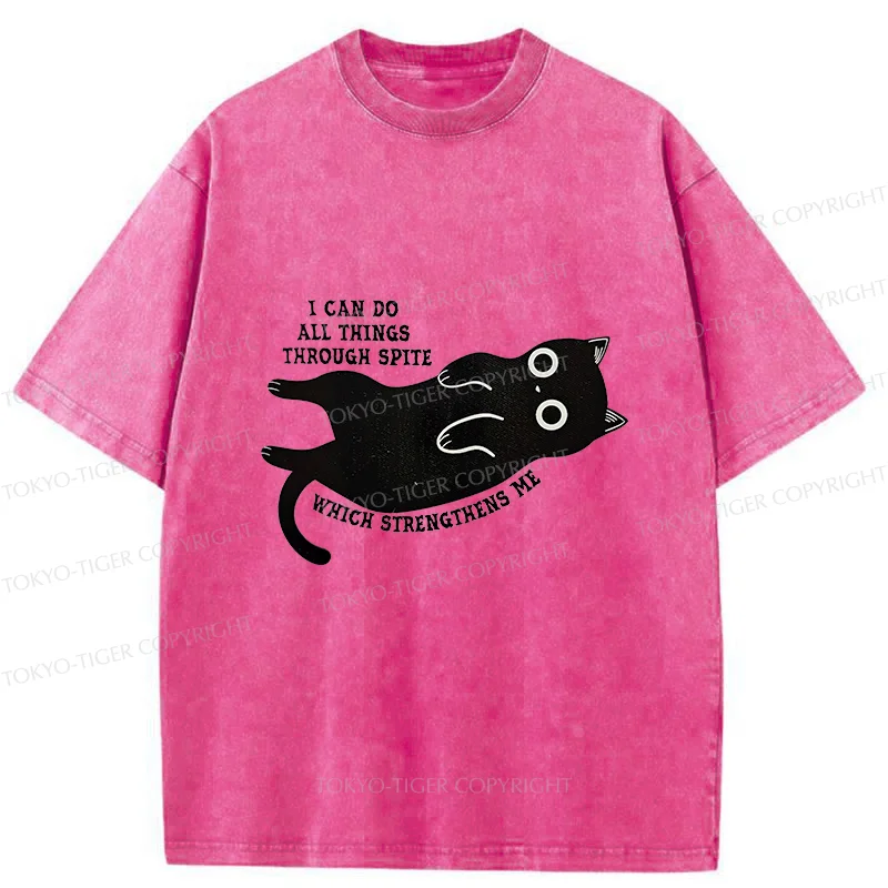 Tokyo-Tiger Cat Can Do All Things Spite Washed T-Shirt
