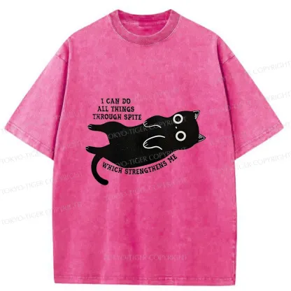 Tokyo-Tiger Cat Can Do All Things Spite Washed T-Shirt