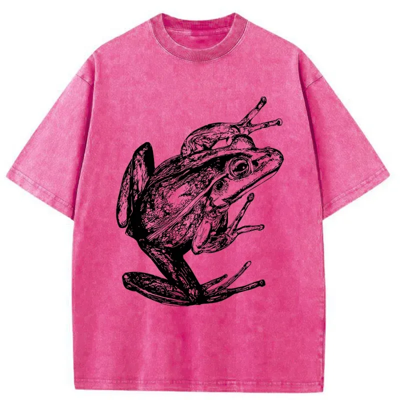 Tokyo-Tiger Retro Frog Japanese Washed T-Shirt