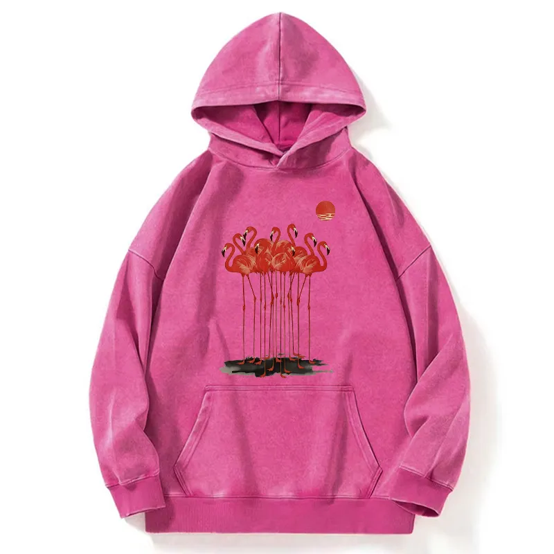Tokyo-Tiger Flamingos at Dusk Washed Hoodie