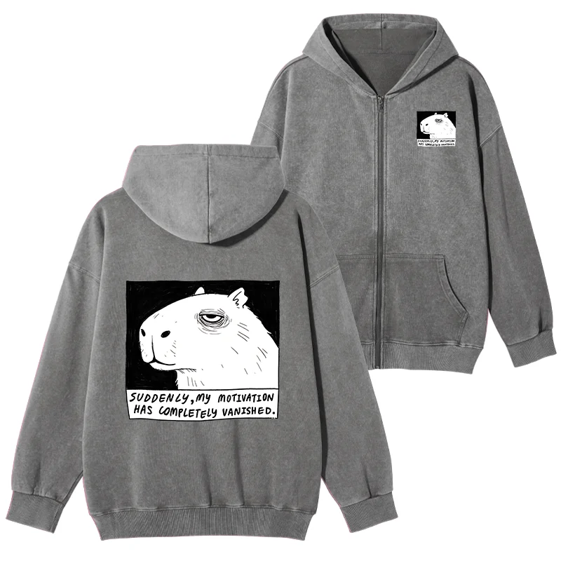 Tokyo-Tiger Power Has Completely Disappeared Washed Zip Hoodie