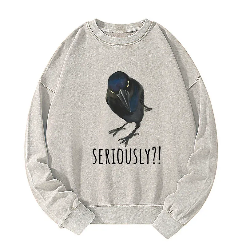 Tokyo-Tiger Raven's Question Washed Sweatshirt