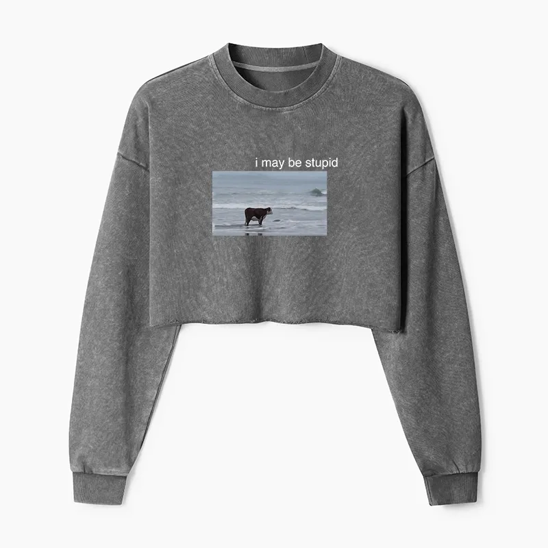 Tokyo-Tiger Foolish Cow Washed Crop Sweatshirt
