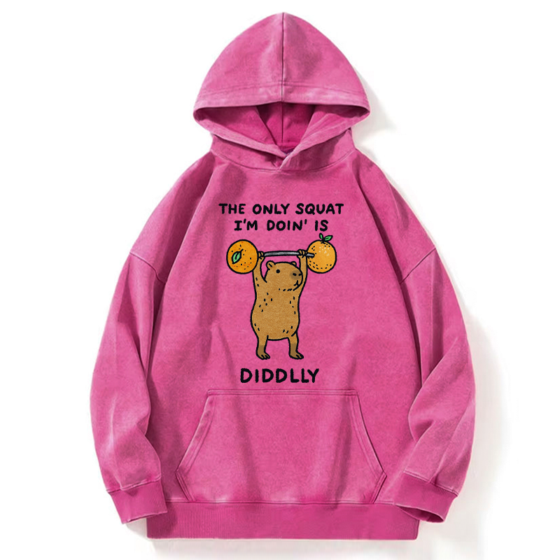 Tokyo-Tiger Diddly Capybara Washed Hoodie