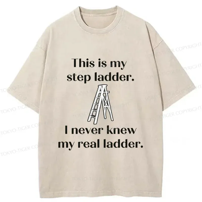 Tokyo-Tiger A Real Ladder Funny Washed T-Shirt