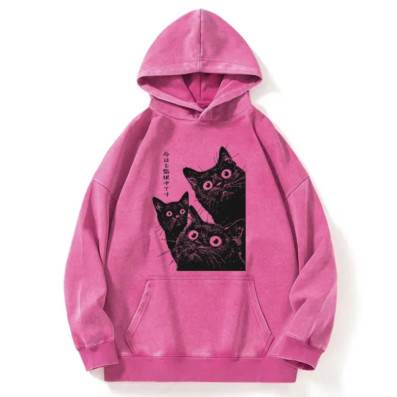 Tokyo-Tiger Three Cats Are Watching You Today Washed Hoodie