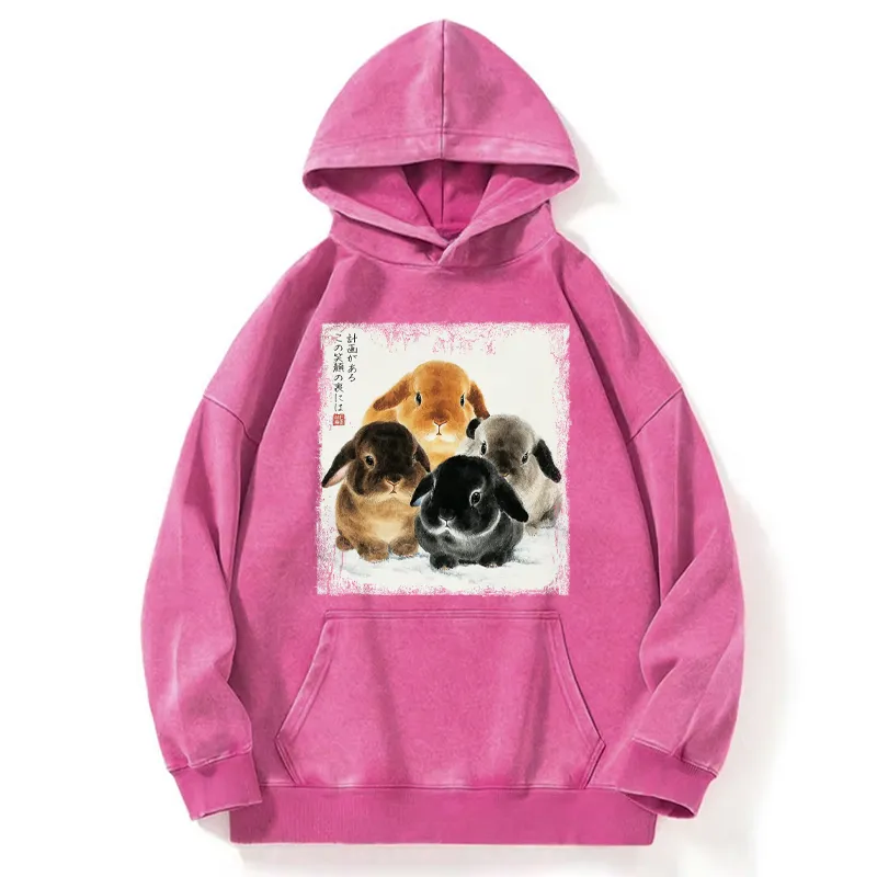 Tokyo-Tiger The Ink Wash Rabbit Is Watching You Washed Hoodie