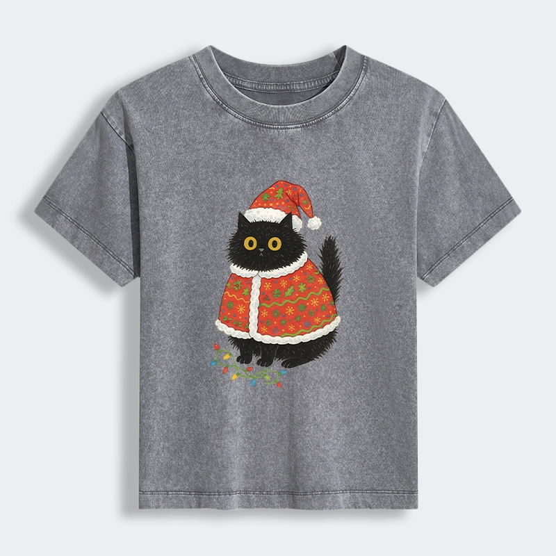 Tokyo-Tiger Cat Wearing Santa Hat Women's Washed T-shirt