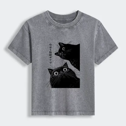 Tokyo-Tiger The Cat Is Watching Today Women's Washed T-shirt