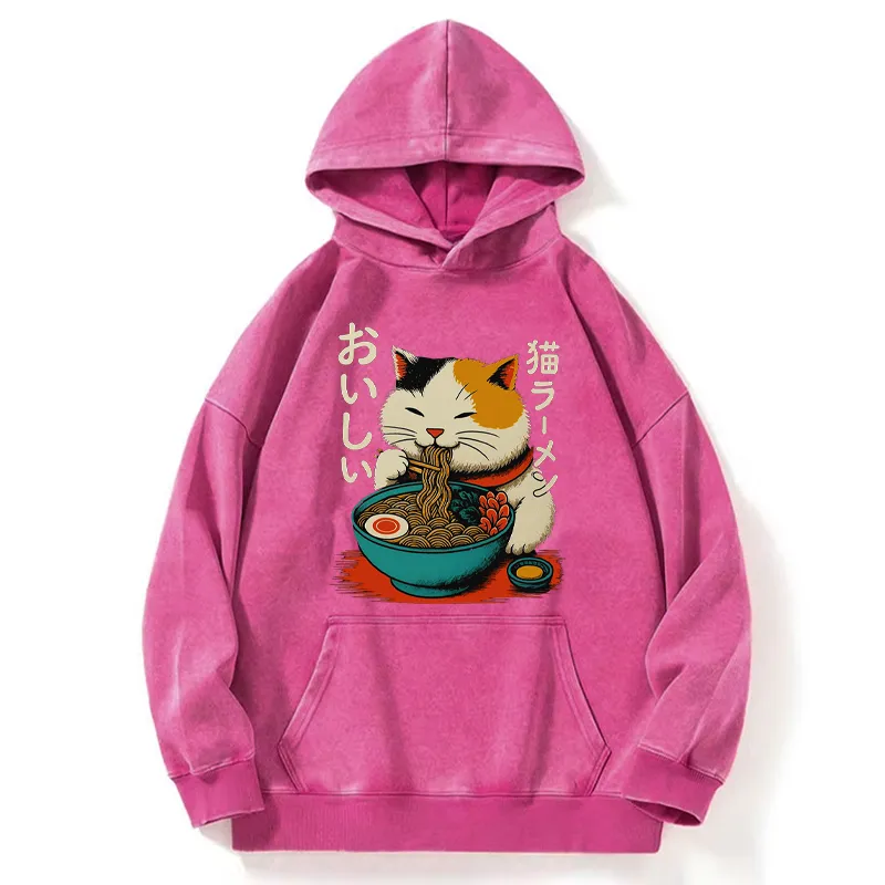 Tokyo-Tiger Cute Eat Eating Japanese Ramen Washed Hoodie