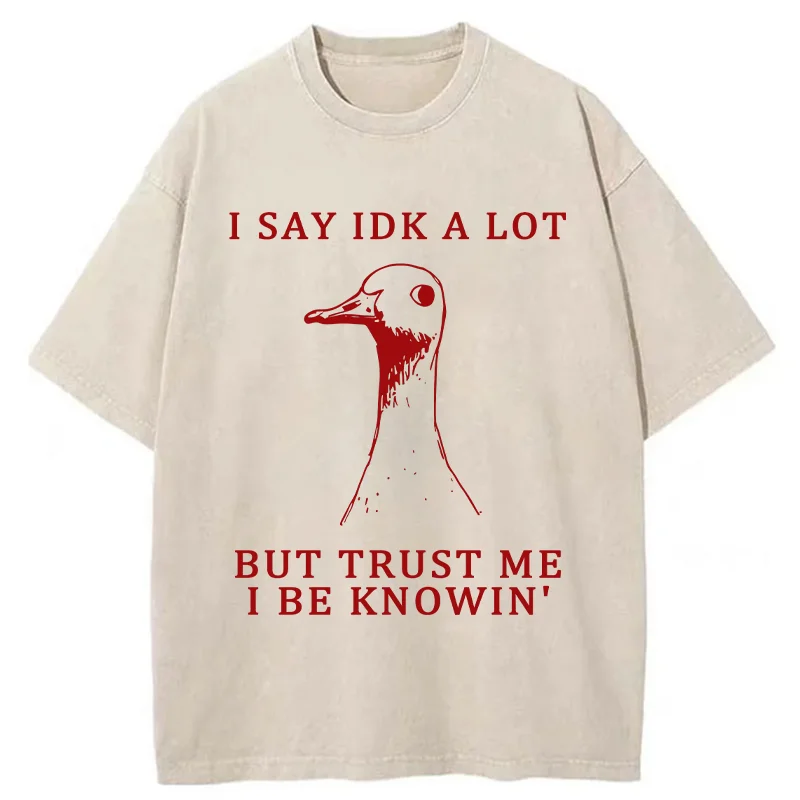 Tokyo-Tiger Silly Goose Understands Everything Washed T-Shirt