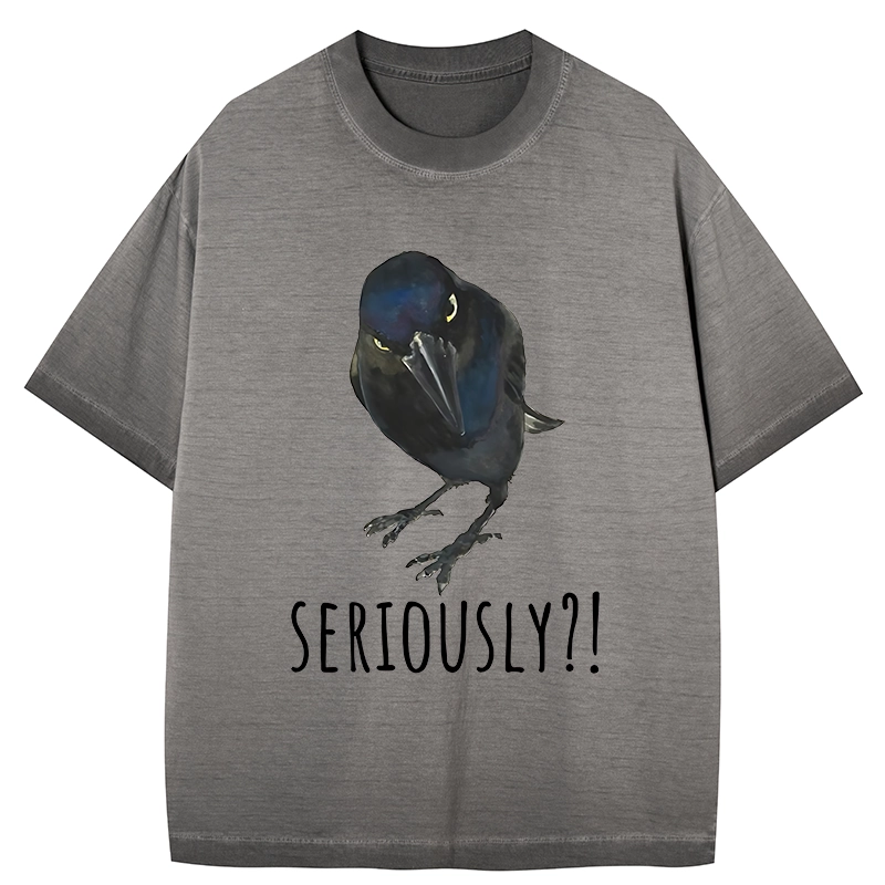 Tokyo-Tiger Raven's Question Gradient Washed T-Shirt