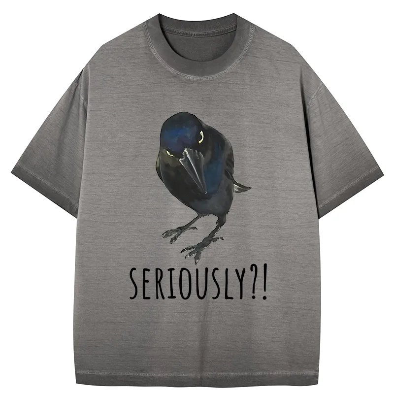 Tokyo-Tiger Raven's Question Gradient Washed T-Shirt