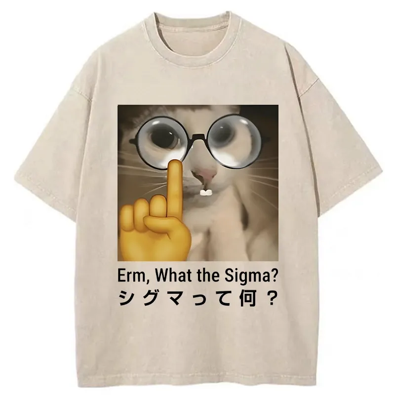 Tokyo-Tiger Erm What The Sigma Washed T-Shirt