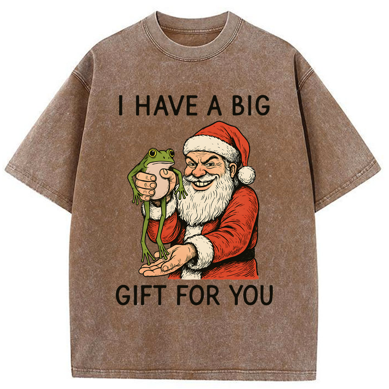 Tokyo-Tiger Santa’s Special Gift Washed T-Shirt