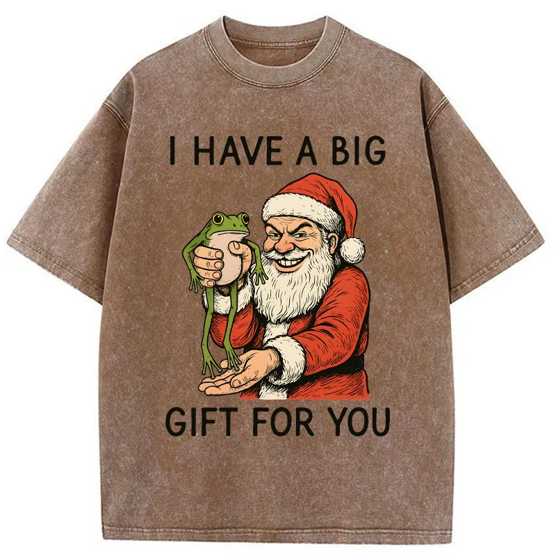 Tokyo-Tiger Santa’s Special Gift Washed T-Shirt