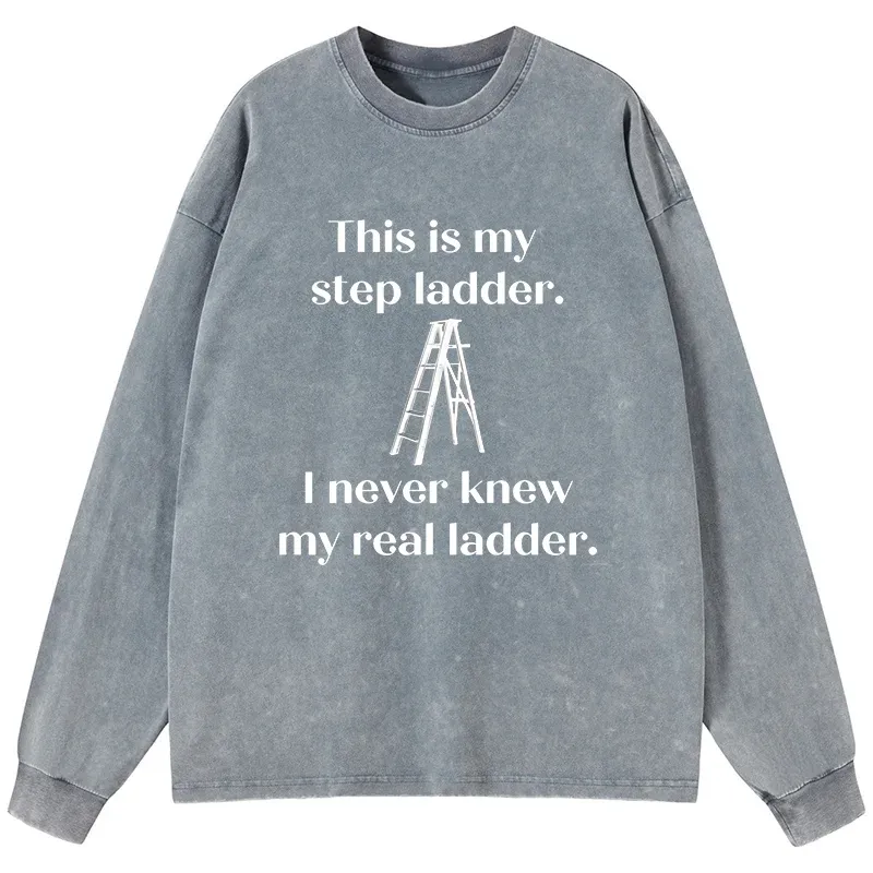 Tokyo-Tiger A Real Ladder Funny Washed Long Sleeve T-Shirt