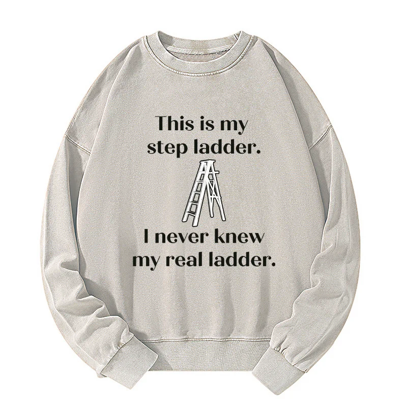 Tokyo-Tiger A Real Ladder Funny Washed Sweatshirt