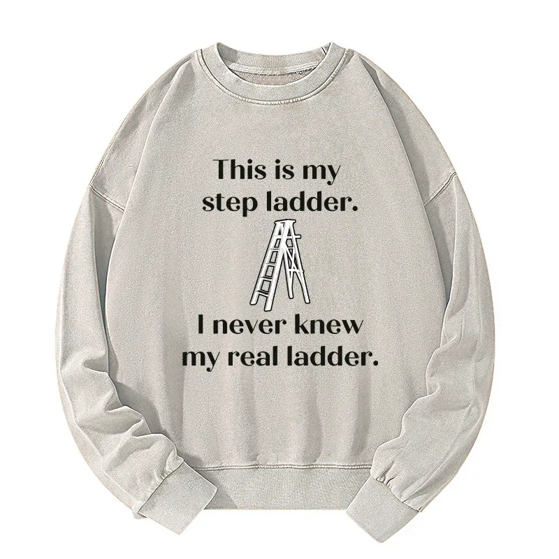 Tokyo-Tiger A Real Ladder Funny Washed Sweatshirt