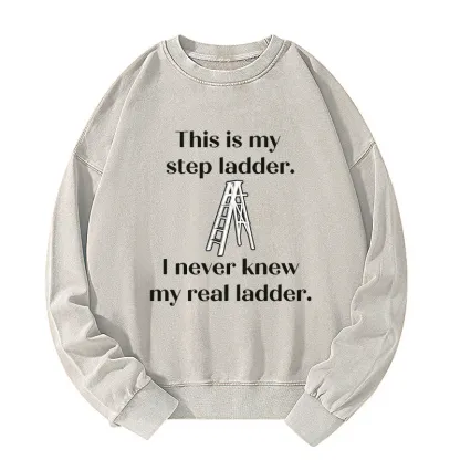 Tokyo-Tiger A Real Ladder Funny Washed Sweatshirt