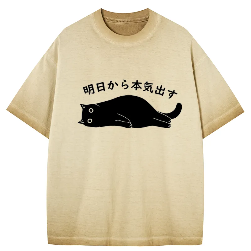 Tokyo-Tiger I'm Going To Get Serious Tomorrow Gradient Washed T-Shirt