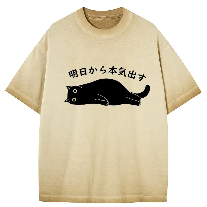 Tokyo-Tiger I'm Going To Get Serious Tomorrow Gradient Washed T-Shirt
