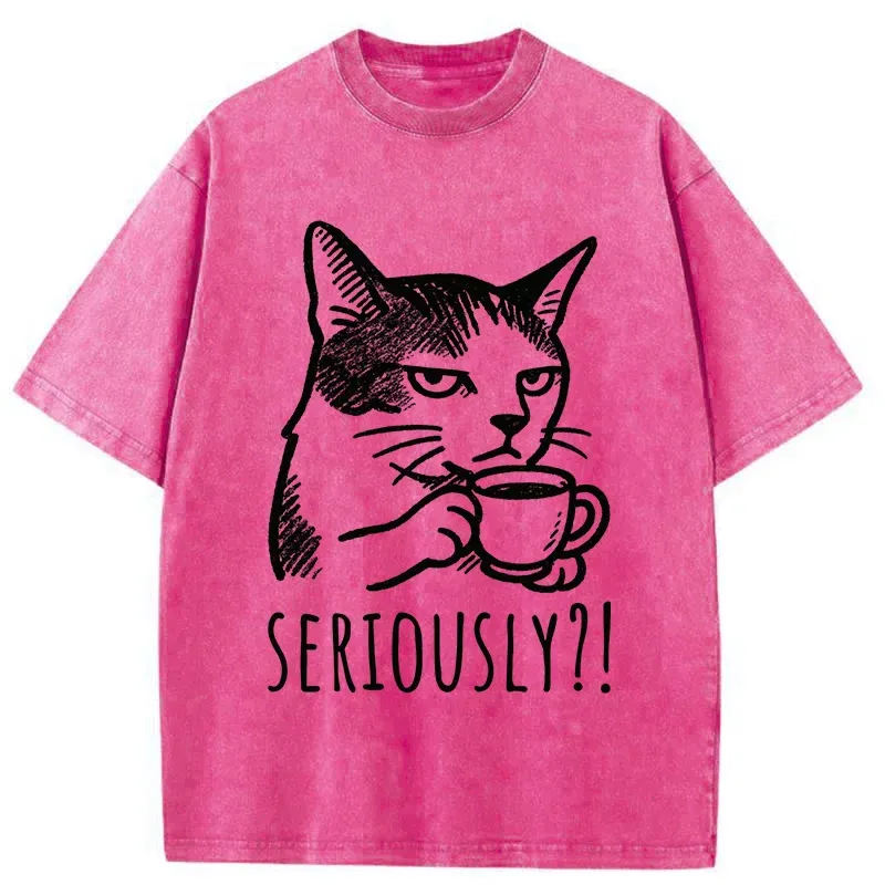 Tokyo-Tiger Cat's Suspicion Washed T-Shirt