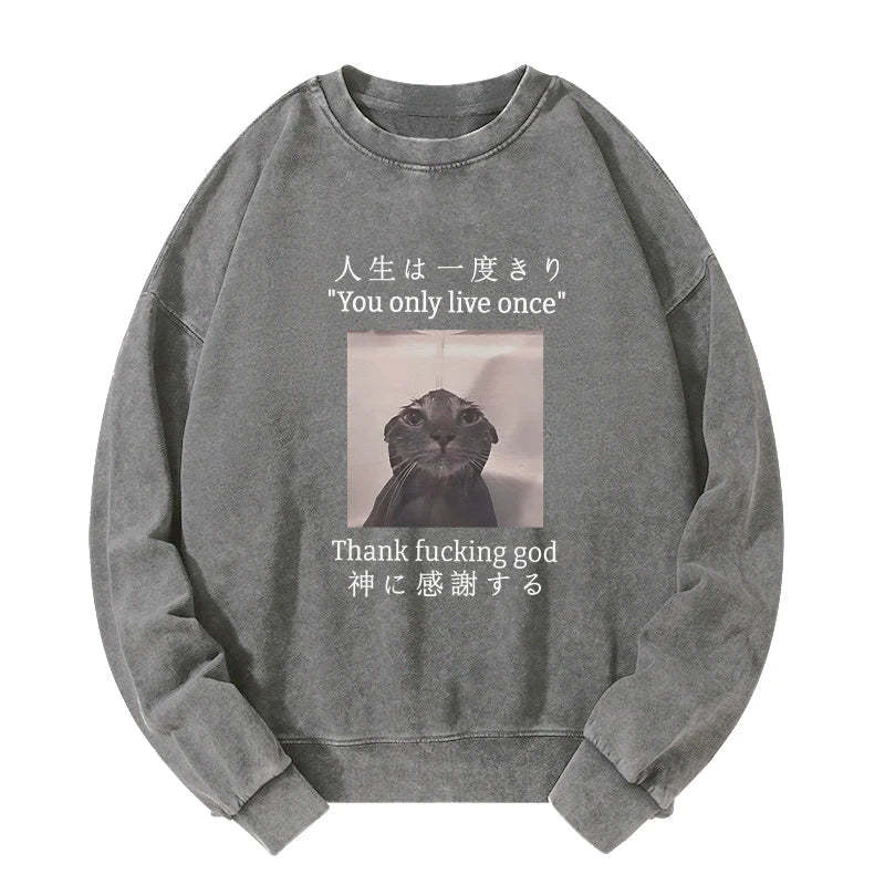 Tokyo-Tiger Funny Melancholy Cat Washed Sweatshirt