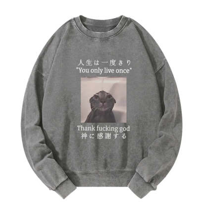 Tokyo-Tiger Funny Melancholy Cat Washed Sweatshirt