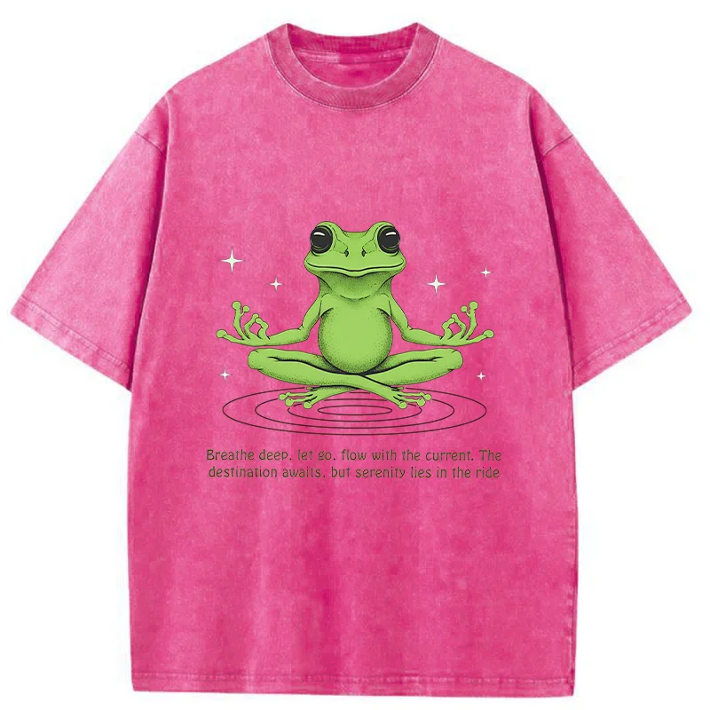 Tokyo-Tiger Zen Frog Japan Washed T-Shirt