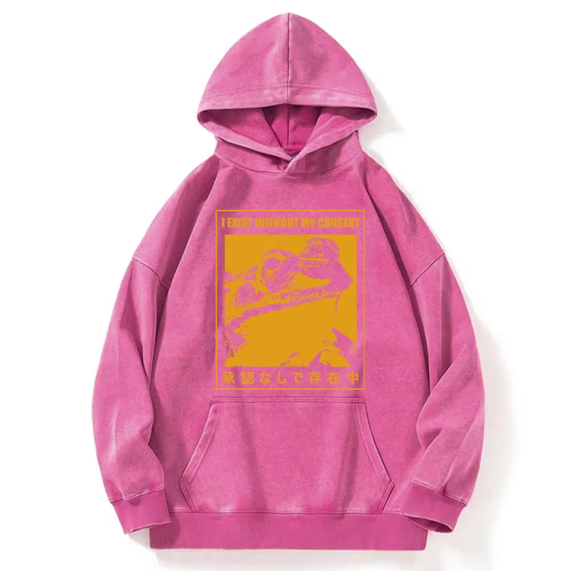 Tokyo-Tiger Unauthorized Existence Washed Hoodie