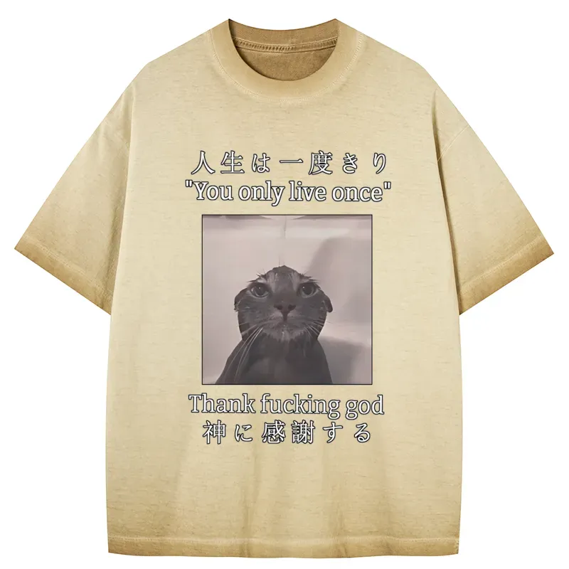 Tokyo-Tiger Funny Melancholy Cat Gradient Washed T-Shirt