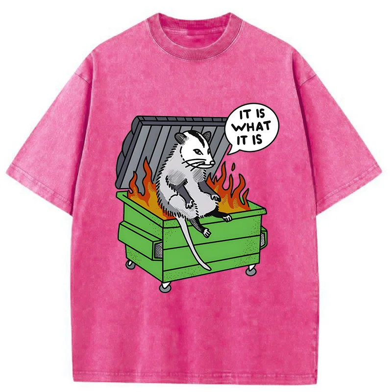 Tokyo-Tiger Possum Thinking On The Edge Of Danger Washed T-Shirt