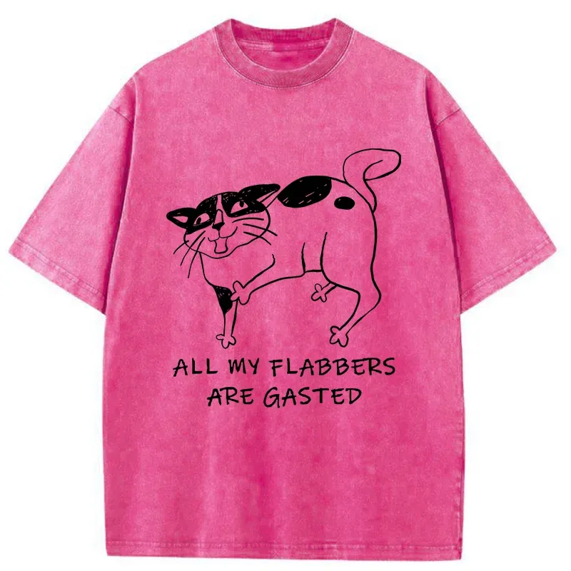 Tokyo-Tiger Surprised Cat Washed T-Shirt Sale