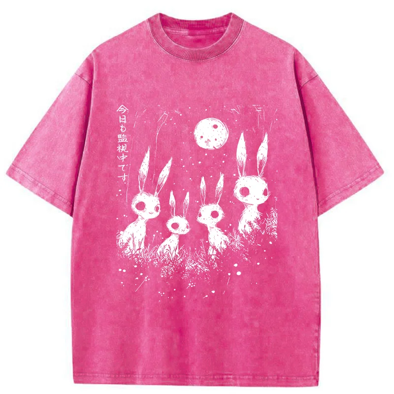 Tokyo-Tiger Rabbit Is Watching You Washed T-Shirt