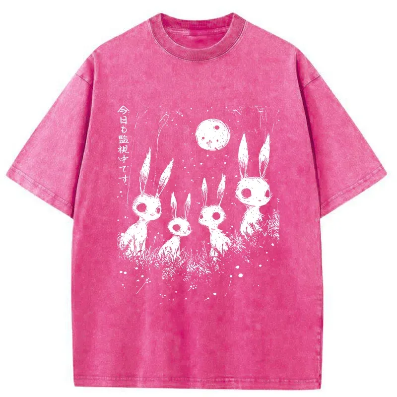 Tokyo-Tiger Rabbit Is Watching You Washed T-Shirt Sale