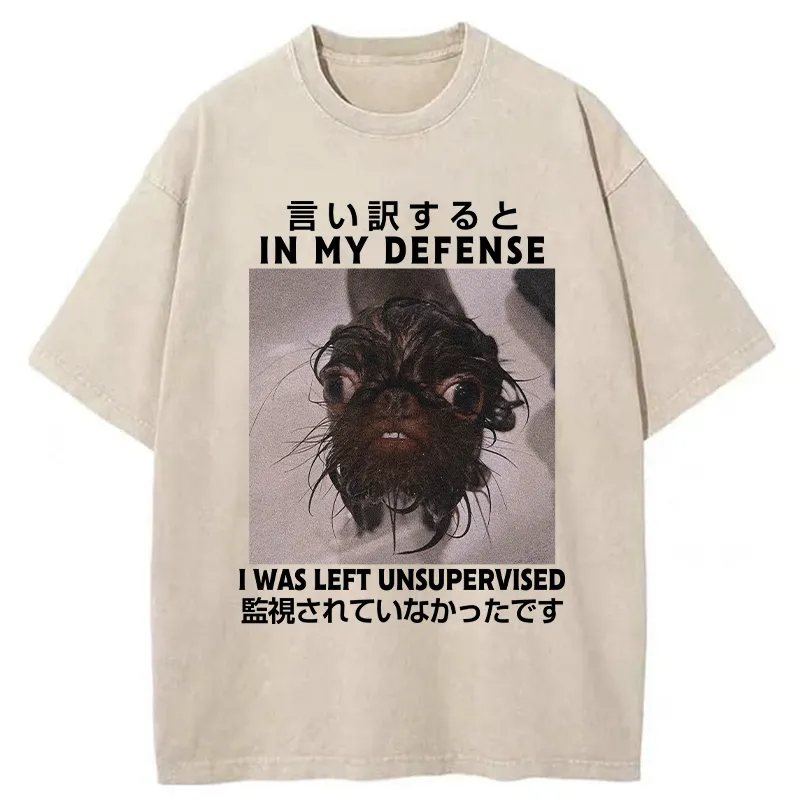 Tokyo-Tiger I Was Left Unsupervised Washed T-Shirt