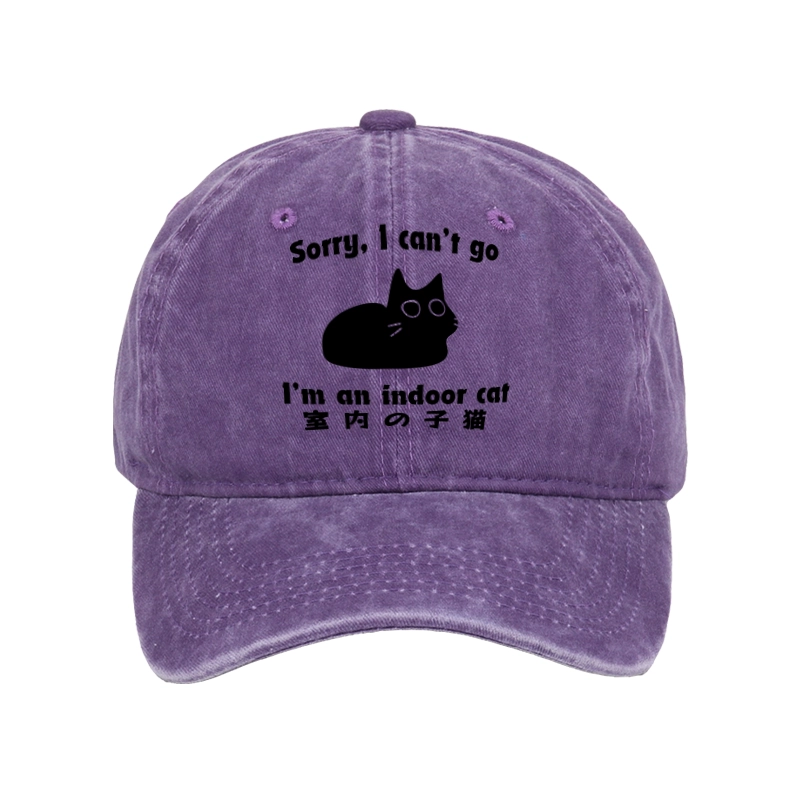Tokyo-Tiger Indoor Kitten Washed Cap