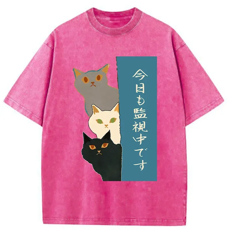 Tokyo-Tiger Cats Secretly Watching Washed T-Shirt