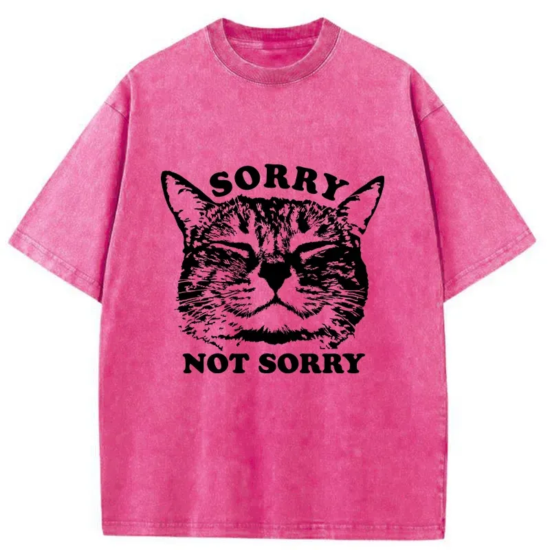Tokyo-Tiger An Arrogant Apologizer Washed T-Shirt