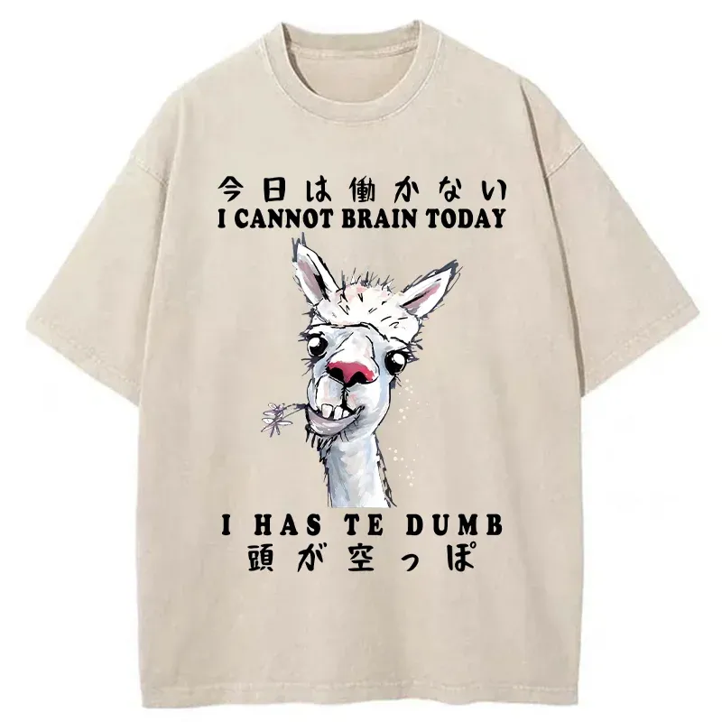 Tokyo-Tiger Empty-headed Alpaca Washed T-Shirt