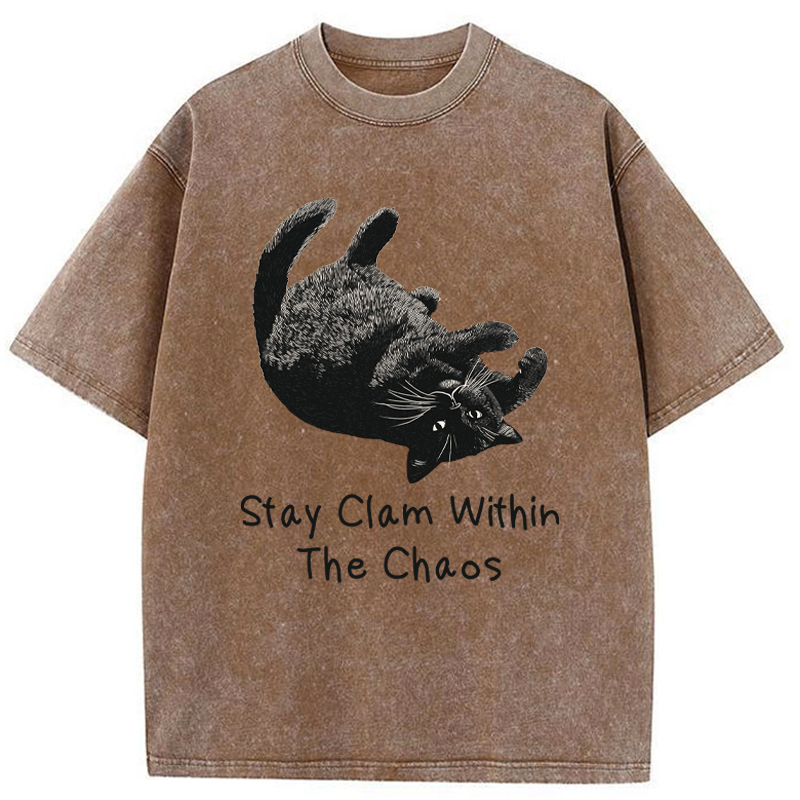 Tokyo-Tiger Stay Clam Within The Chaos Washed T-Shirt