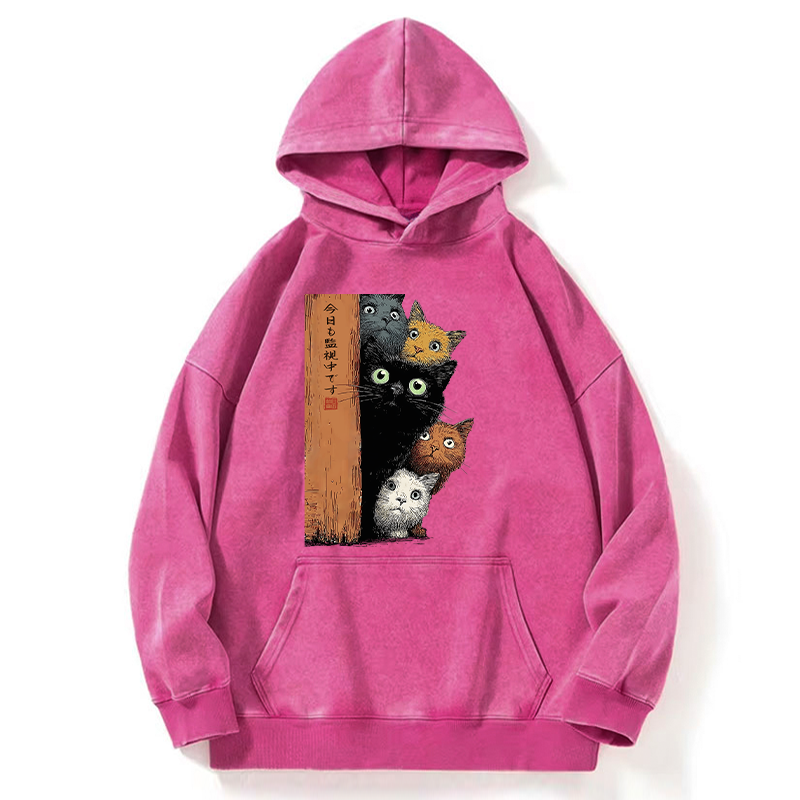 Tokyo-Tiger Five Cats Are Watching You Washed Hoodie
