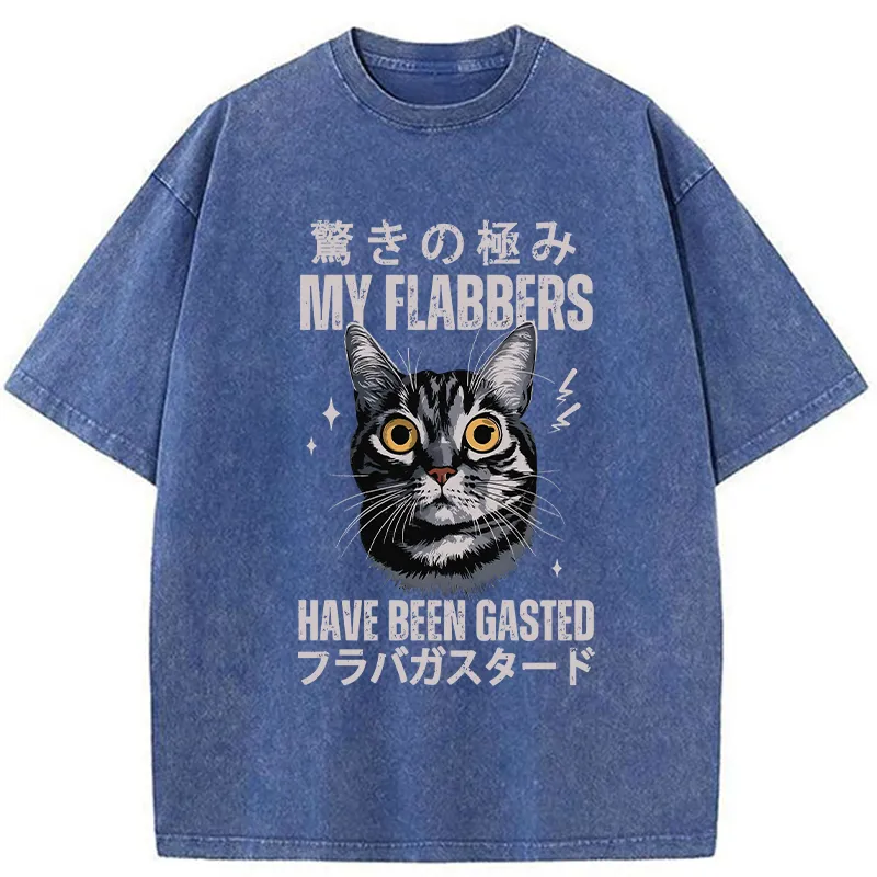 Tokyo-Tiger My Flabbers Have Been Gasted Washed T-Shirt