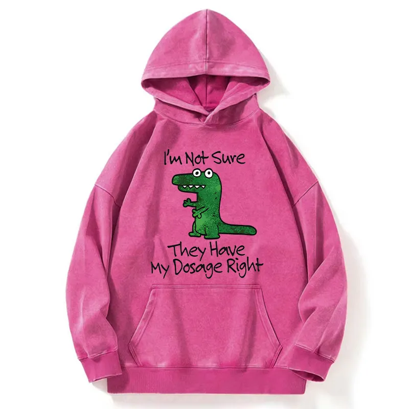 Tokyo-Tiger Dinosaur Meme Sarcastic Ironic Washed Hoodie