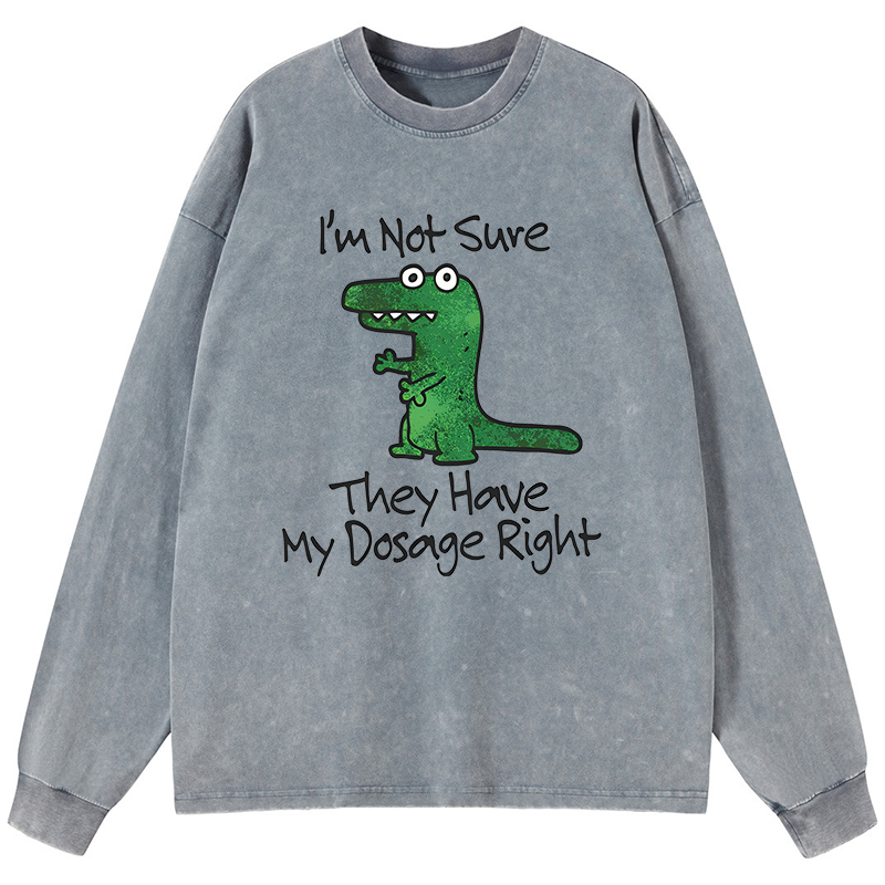 Tokyo-Tiger Dinosaur Meme Sarcastic Ironic Washed Long Sleeve T-Shirt