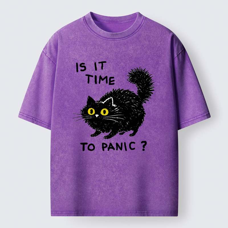 Tokyo-Tiger Is It Time To Panic Washed T-Shirt