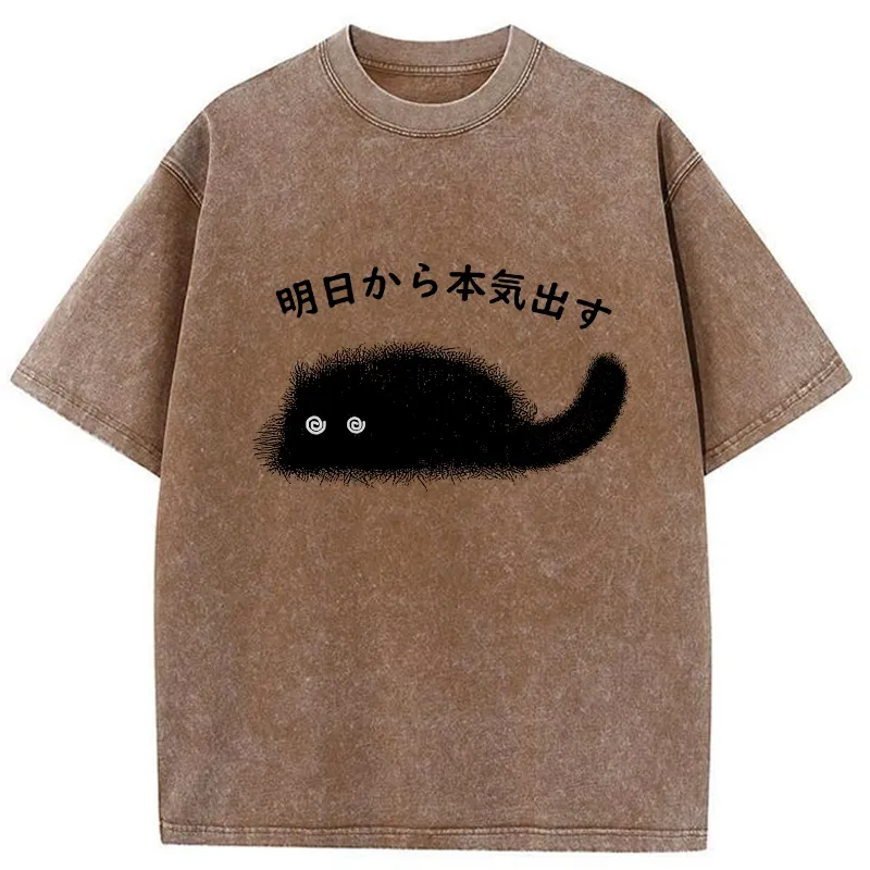 Tokyo-Tiger I'll Get Serious From Tomorrow Washed T-Shirt