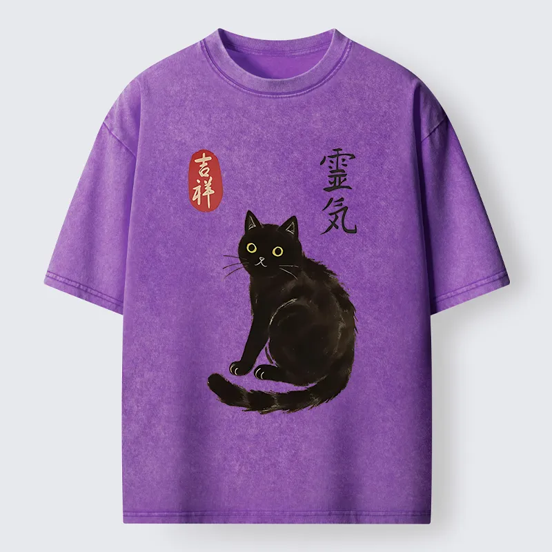 Tokyo-Tiger Japanese Black Cat Washed T-Shirt